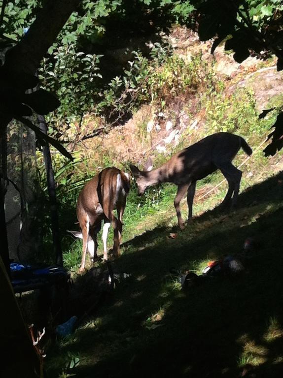 Casa Della Costa Villa Sechelt Dış mekan fotoğraf